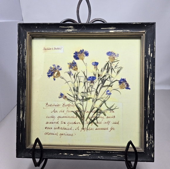 Creative Co-op Set Of 4 Beautifully Handcrafted  Floral Manuscripts Of Flowers - Picture 3 of 10